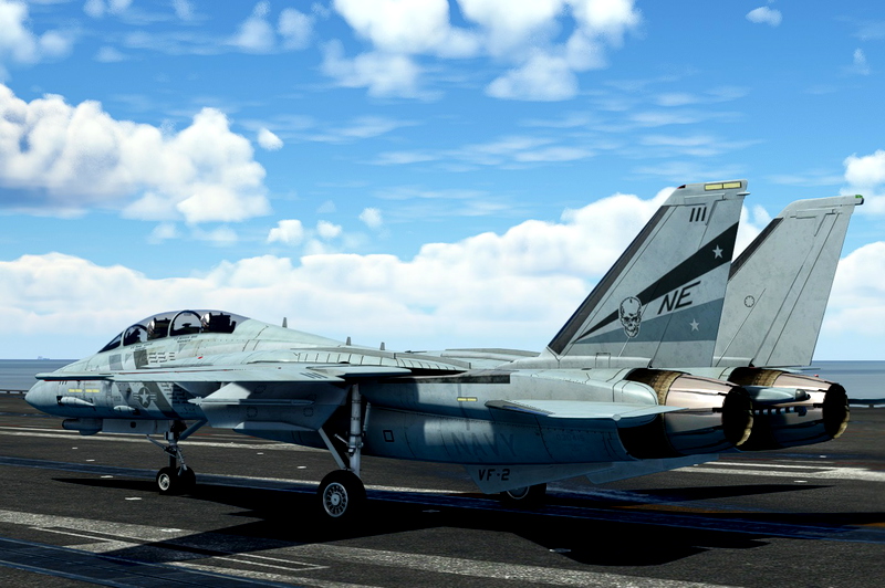 DC Designs F-14D VF-2 Bounty Hunters Line for Microsoft Flight