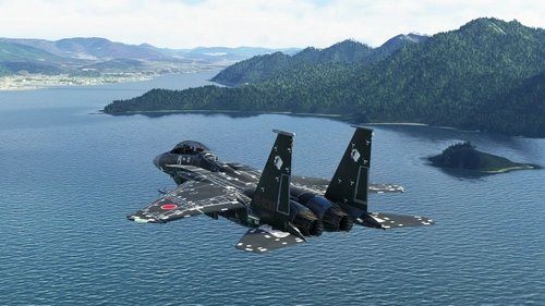 DC Designs F-15DJ - JASDF 92-8096 AGRS