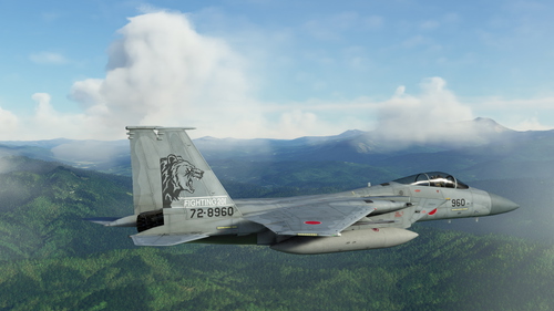 DC Designs F-15J - JASDF  72-8960 201 SQ