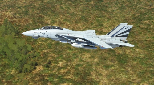 DCD F-14A Tomcat VF-154 Black Knights Line Bird