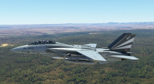DCD F-14A Tomcat VF-154 Black Knights XO Bird
