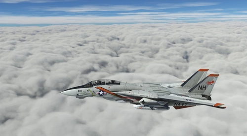 DCD F-14A Tomcat VF-114 Aardvarks 1975. USS Kitty Hawk.