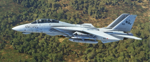 DCD F-14D Tomcat VF-31 163898 "OPERATION IRAQI FREEDOM HOMECOMING". 