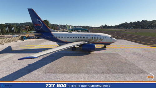 DFSC – Boeing 737-600 (PMDG)