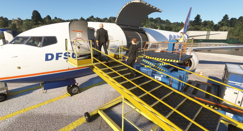 DFSC – Boeing 737-800BCF (PMDG)