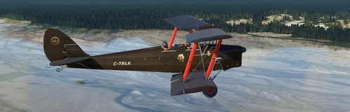 DH-82 Tiger Moth by Ant's - "C-TRLK" dark brown weathered livery