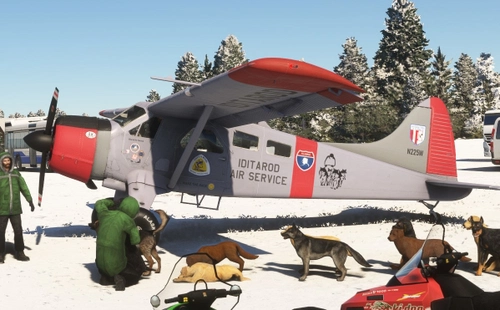 DHC-2 Beaver “Air Service Iditarod“ (N225W) - Iditarod  Sleg Dog Race
