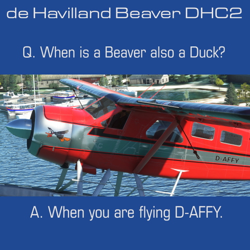 DHC2 Beaver D-AFFY