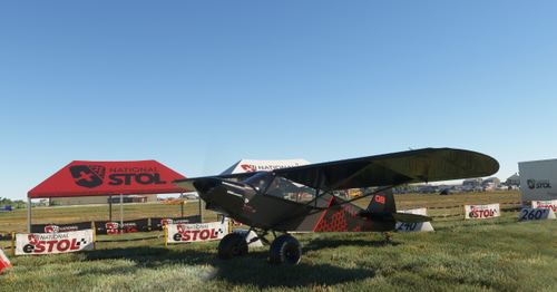 dimmers  eSTOL Savage Carbon Livery