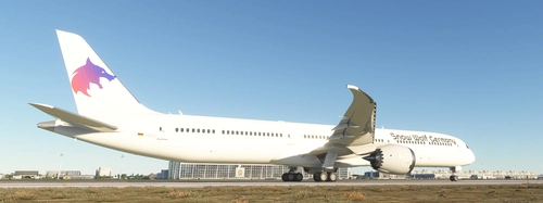 Dreamliner B787-10 Asobo Snow Wolf Germany (SWG D-AGLN)