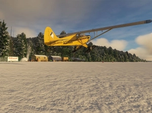 Eagle Island Airstrip (PXEI) thumbnail 7