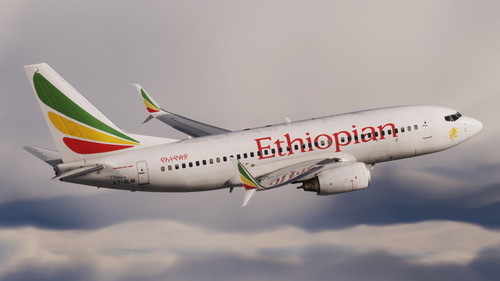 Ethiopian Airlines (ET-ALM) - PMDG 737-700