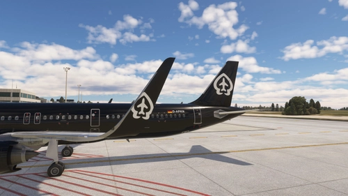 European Virtual Airlines (D-APKN) - LVFR A321 Neo