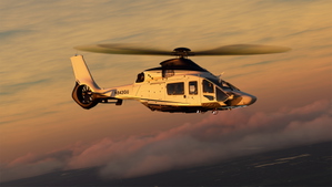 Executive Livery for HPG H160 thumbnail 6