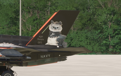 F-35 Harpy Eagle