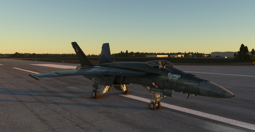 F/A-18 - FLYUSS AIR FORCE LIVERY
