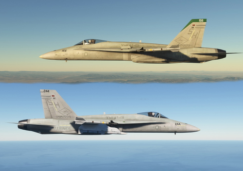 F/A-18C  VMFAT-101  LINE  BIRDS