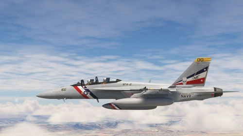 F/A-18F  VFA-2  Bounty Hunters  CAG  &  Line