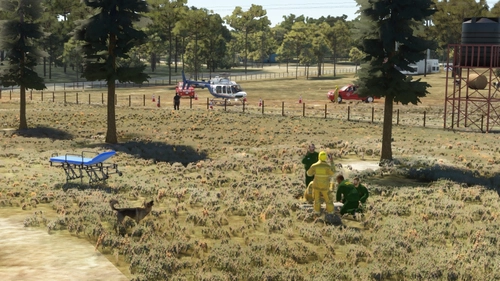 Farm Accident   Crystal River, Florida