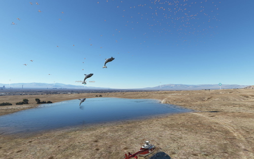Fauna - Animated Animals Simple Scenery  V2.0
