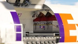 FedEx ( N658FE ) iniBuilds Airbus A300-600R(F) - 8K thumbnail 10