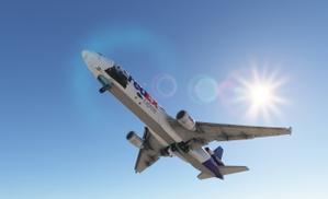 Fedex Panda Express MD-11F N585FE thumbnail 2