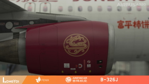 FENIX 320 Juneyao Air 吉祥航空 B-326J [V2] thumbnail 8