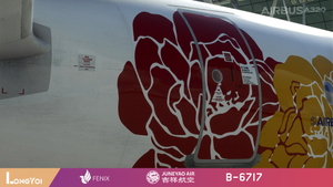 FENIX 320 Juneyao Air 吉祥航空 B-6717 thumbnail 9