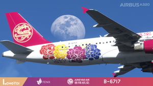 FENIX 320 Juneyao Air 吉祥航空 B-6717 thumbnail 2