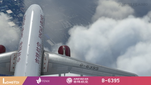 FENIX 320 Juneyao Air 吉祥航空 B-6395 thumbnail 10