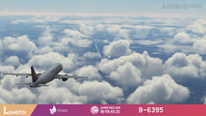 FENIX 320 Juneyao Air 吉祥航空 B-6395 thumbnail 13