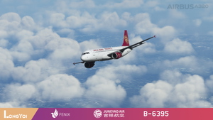 FENIX 320 Juneyao Air 吉祥航空 B-6395 thumbnail 6