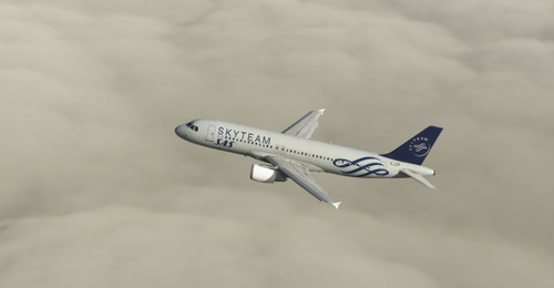 FENIX A320 | SAS SkyTeam Alliance Livery 8K FICTIONAL 
