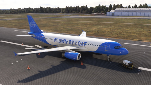 Fenix A320 (CFM&IAE) FlownByLoaf FICTIONAL Livery (G-CFBL)