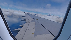 Fenix A320 Custom Wing Views thumbnail 2