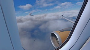 Fenix A320 Custom Wing Views thumbnail 3