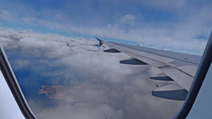 Fenix A320 Custom Wing Views thumbnail 6