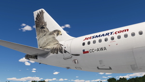 Fenix A320SL  JetSmart  | CC-AWA | 4K thumbnail 3