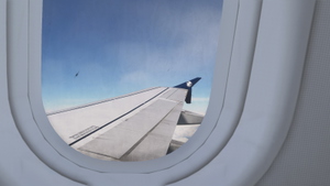 Air France  F-GKXI 8K+4K | Fenix A320 CFM thumbnail 8