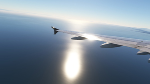 Fenix A320 V2 B2 [CFM&IAE] Camera Views thumbnail 8