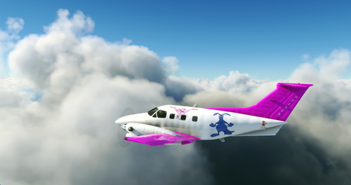Flightsim Pictures Scott Livery for the EMB 121