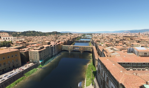Florence no tree