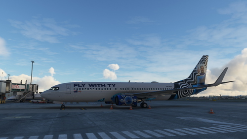 Fly With Ty (GUMBAYNGGIRR) - PMDG Boeing 737-800