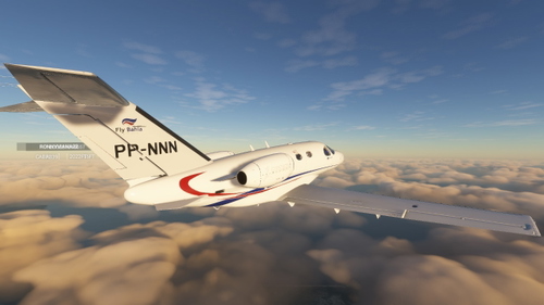 FlyBahia  |  Cessna Mustang  PP-NNN - Virtual Airline Fly Bahia