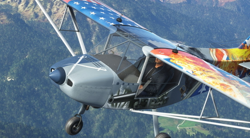 Flyboy Simulations RANS S6S Repaint Livery:  Civil War