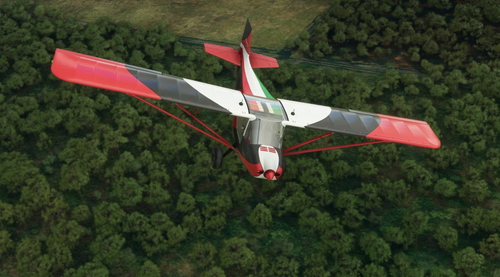 Flyboy Simulations RANS S6S Repaint Livery:  Italian Stallion