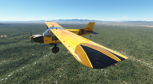 Flyboy Simulations RANS S6S Repaint Livery: Golden Fire