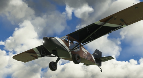 Flyboy Simulations RANS S6S Repaint Livery: Treetop Clipper