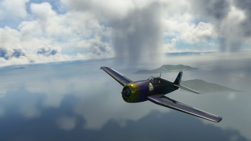 Flyingiron F6F-5 Black Ducky Pack