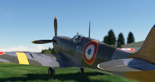 FlyingIron SpitfireIX Repaint Livery: MJ897 Curieux